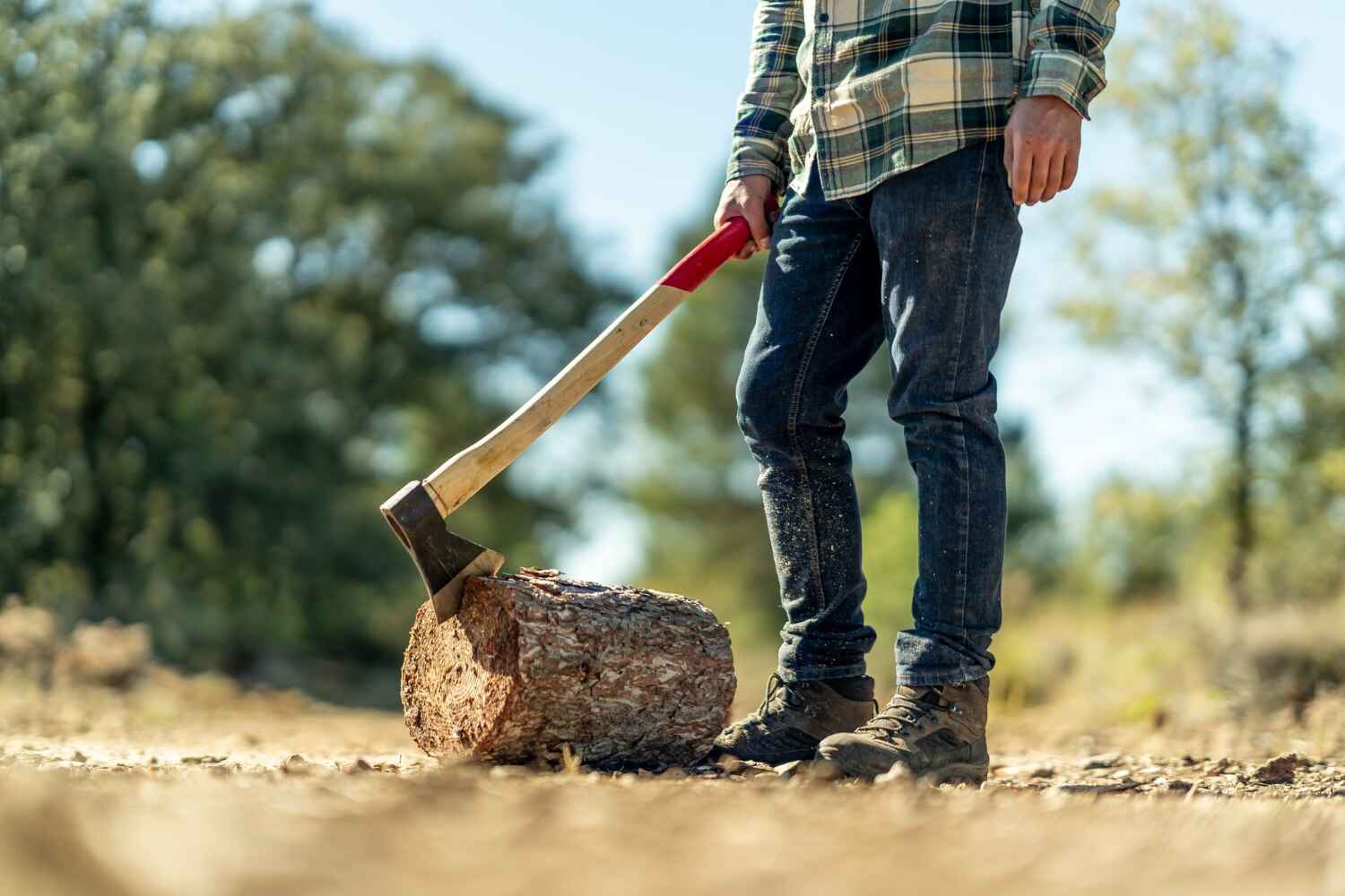 Best Tree Branch Trimming  in New Castle, CO